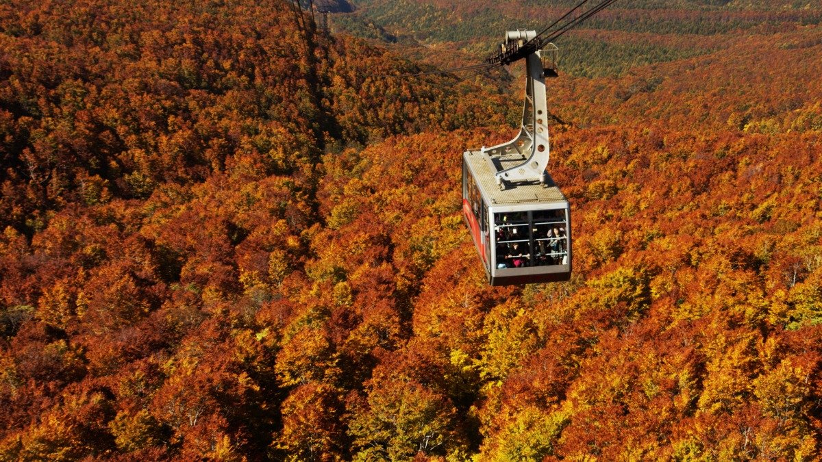 🚠 핫코다 로프웨이 산록역(핫코다 로프웨에 산로쿠에키) 이미지 3
